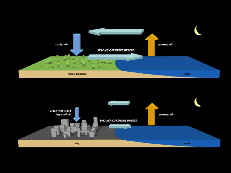 diagramma superfici asfaltate e non.jpg